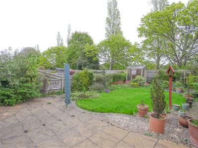 Picture 20
